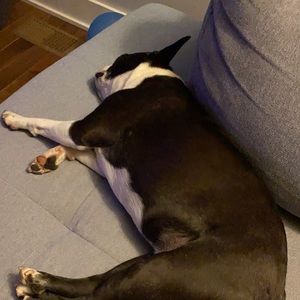 Meet your Posher, Ricky